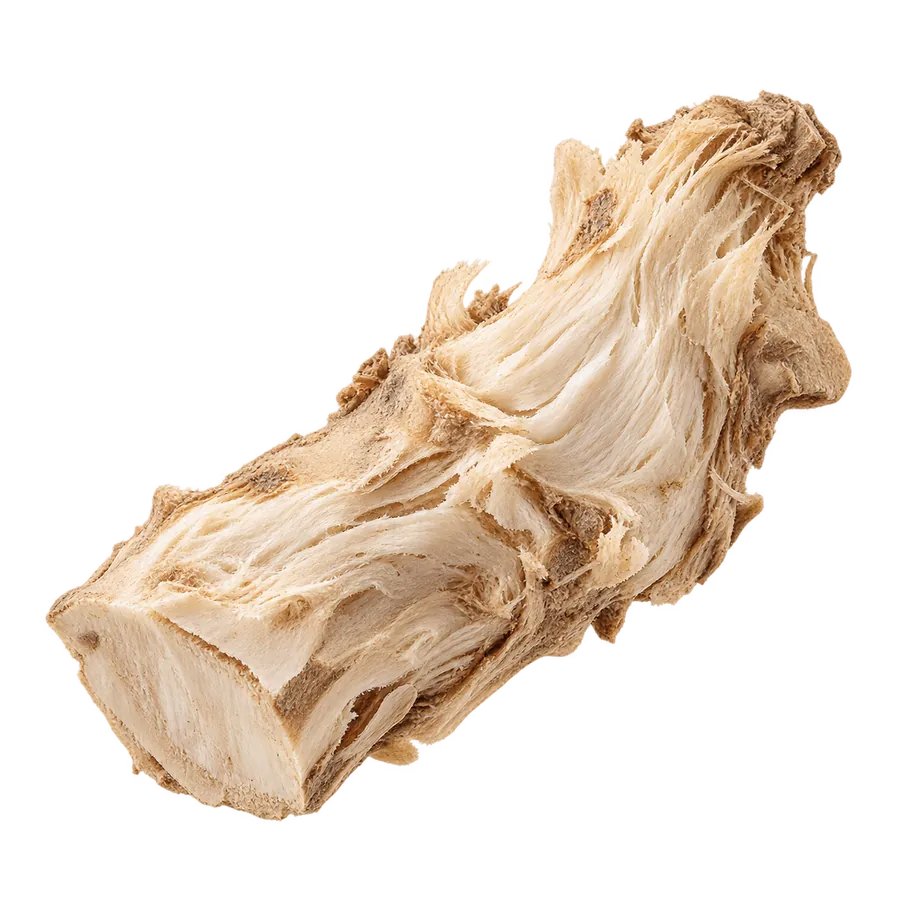 The textured, pale root of an iris